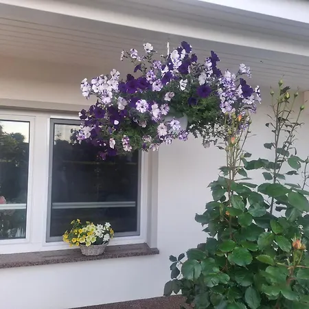 Zum Rosengarten Rambin