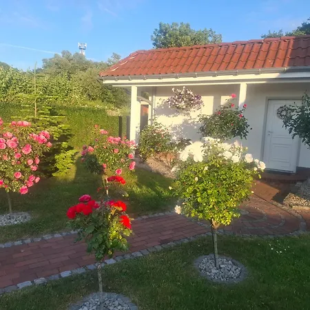 Zum Rosengarten Rambin