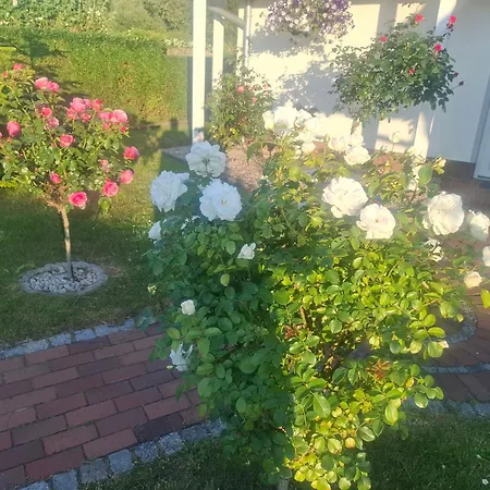 Zum Rosengarten Rambin