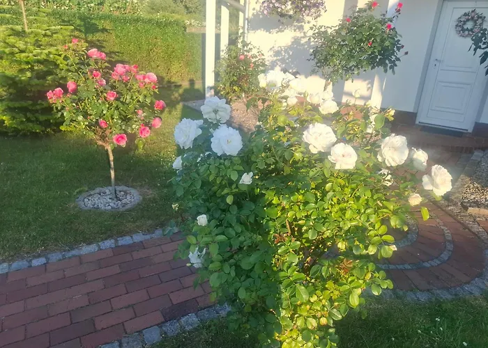 Zum Rosengarten Rambin